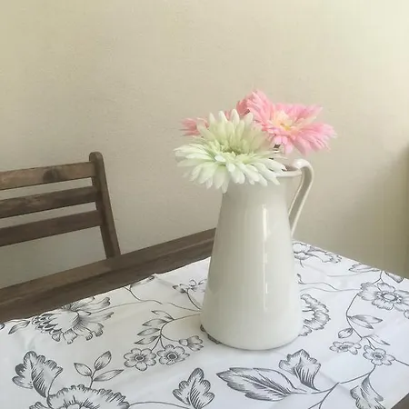 Apartamento Central New